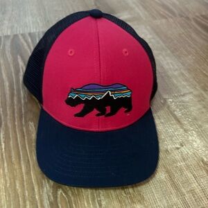 Patagonia hat